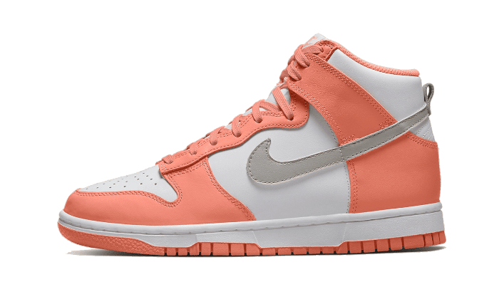 Dunk High Salmon Grey