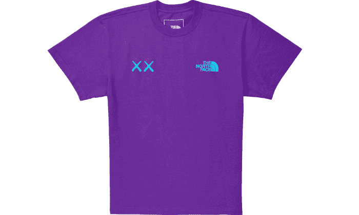 KAWS Tee Gravity Purple